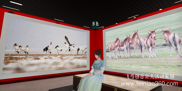 北京直播公司|網易瑤臺切入數(shù)字藝術展，線上看展會成為長期趨勢嗎？